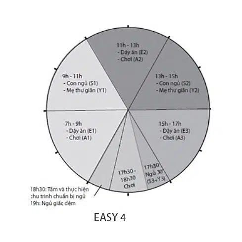 Chu kỳ EASY 4