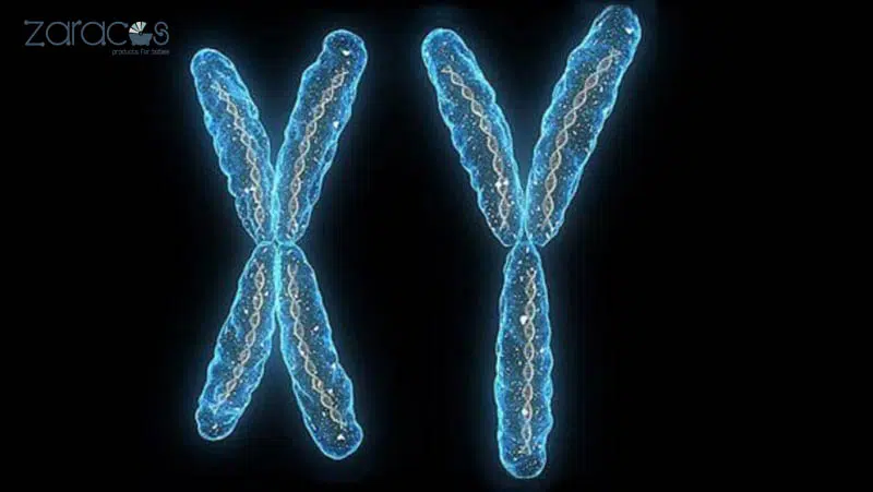 nhiem-sac-the-anh-huong-den-gioi-tinh-thai-nhi