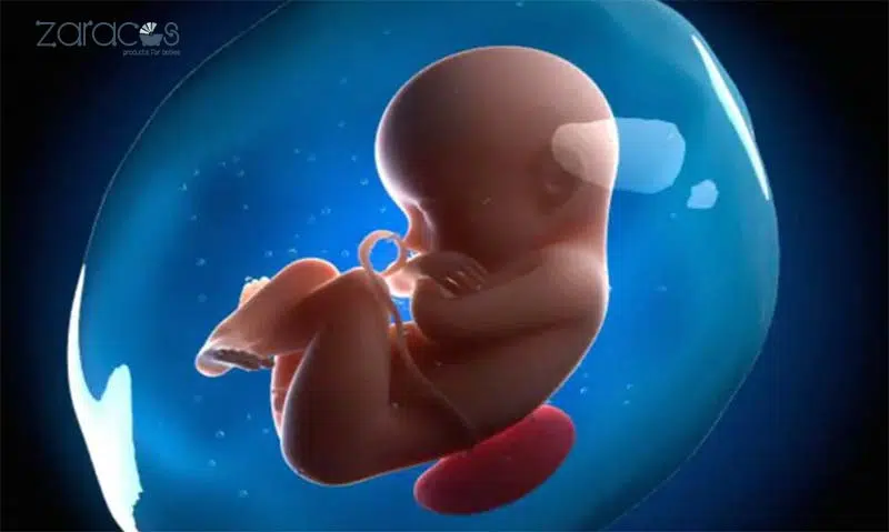 tinh-trang-du-oi-la-gi