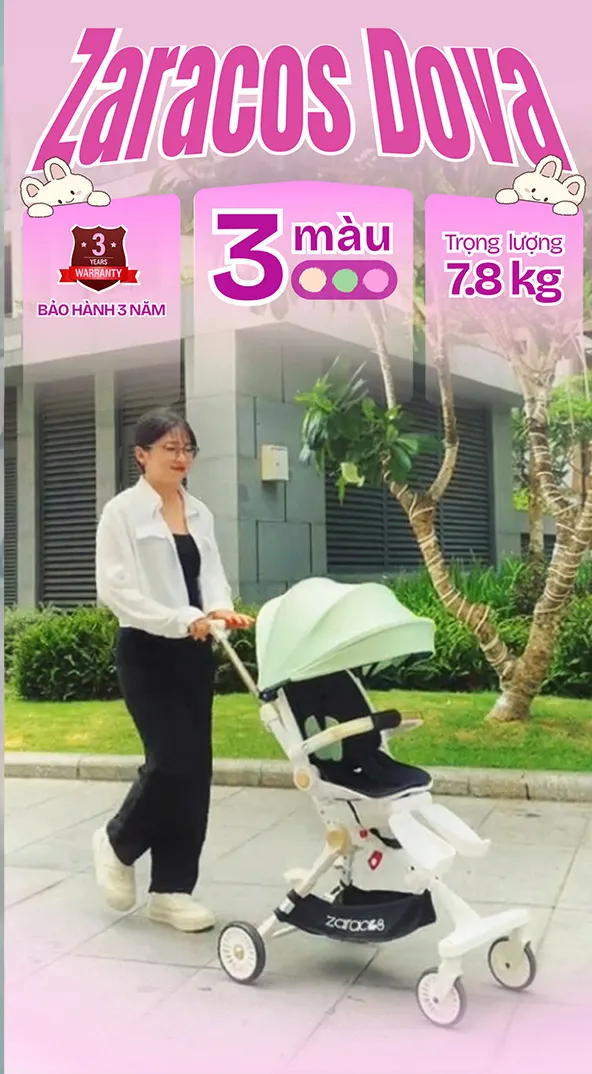 review-zaracos-dova-0236-xe-du-lich-gap-gon