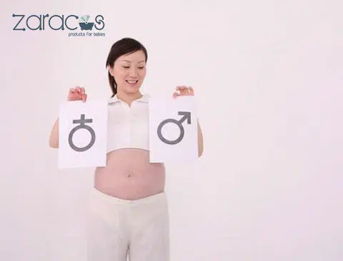 bau-may-thang-biet-trai-hay-gai