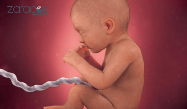 bau-con-trai-uong-sua-dau-nanh-co-sao-khong