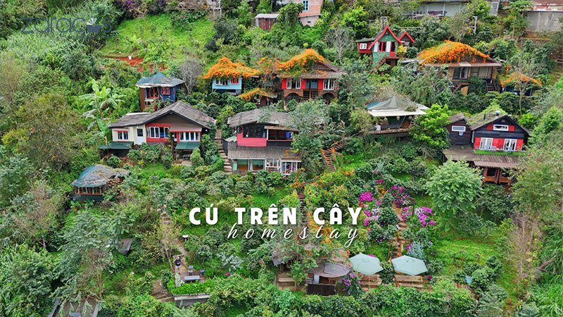 cu-tren-cay-Homestay