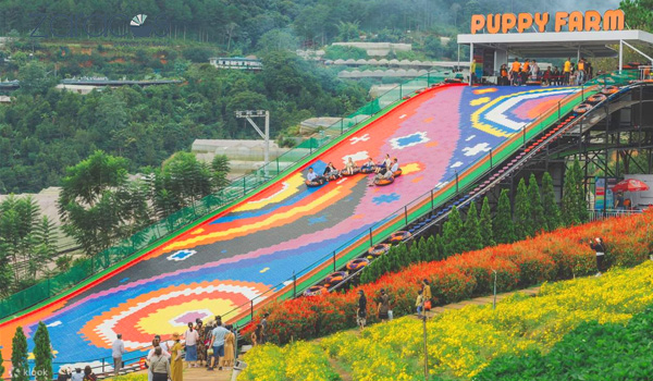 da-lat-co-gi-choi-cho-tre-em-puppy-farm