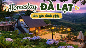 goi-y-homestay-da-lat-cho-gia-dinh-co-con-nho