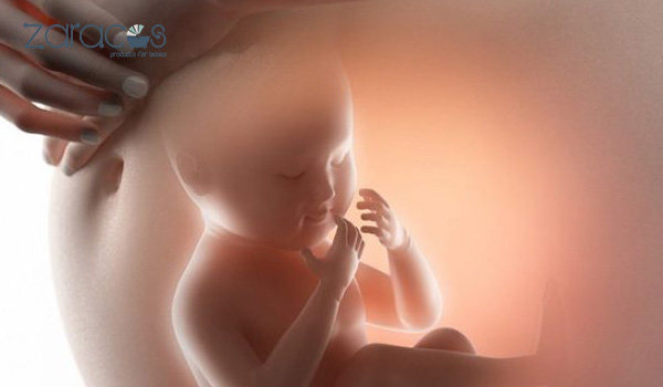 khong-uong-sua-bau-con-co-kem-thong-minh-khong