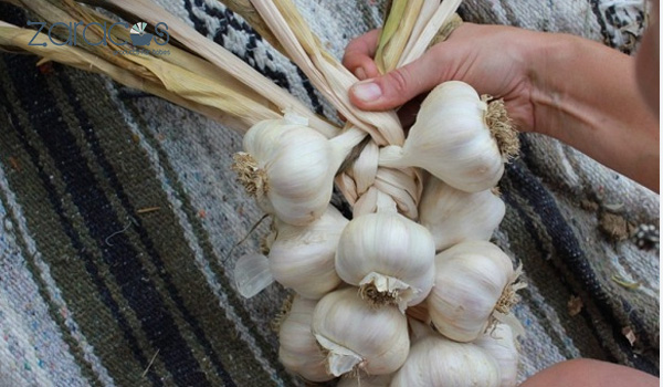 tre-bi-quo-thi-phai-lam-sao-treo-toi-dau-giuong